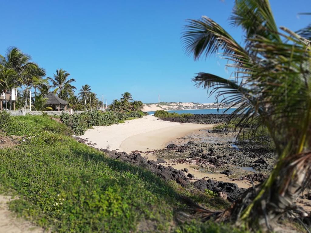 - une plage avec des palmiers et l'océan dans l'établissement COMPLEJO PONTA das BRILLES DUPLEX, à Nísia Floresta
