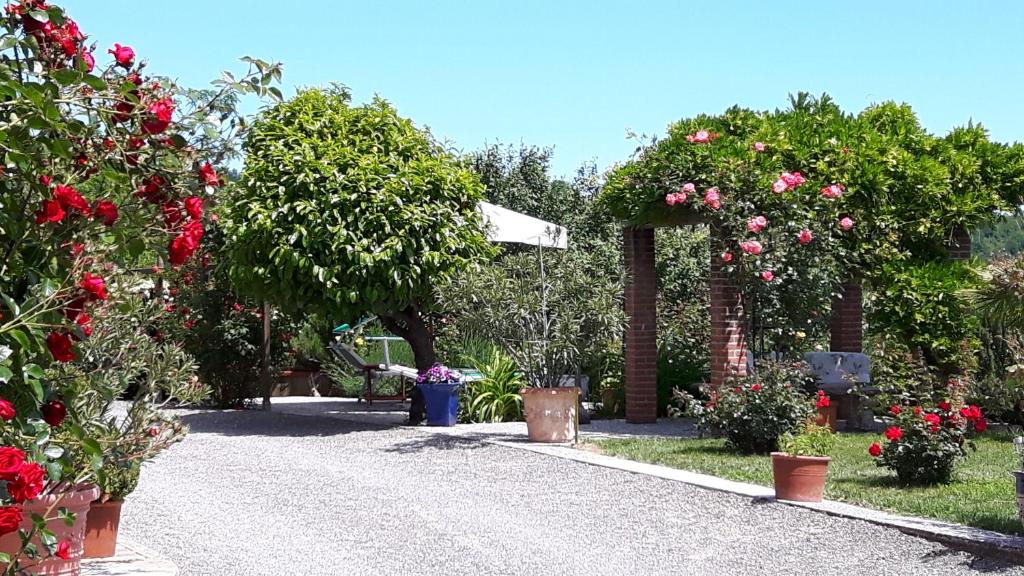 A garden outside B&B Casa Fossello