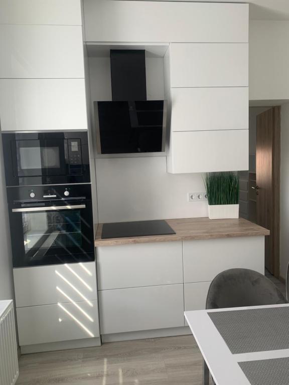 Kuchyňa alebo kuchynka v ubytovaní D&V Apartman