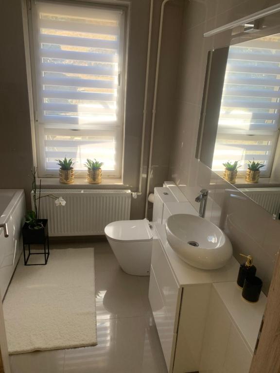 Kúpeľňa v ubytovaní D&V Apartman