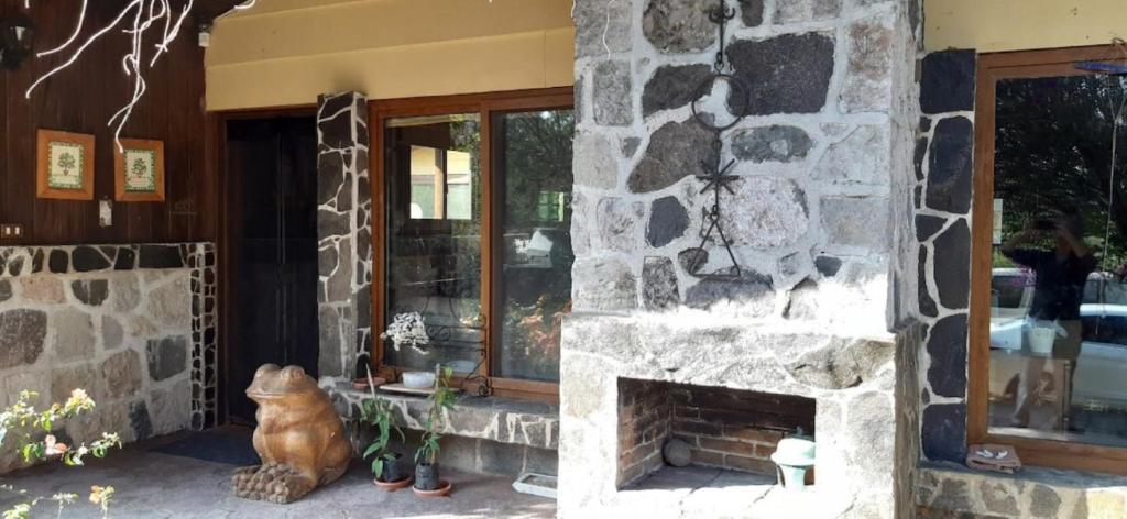 un chat assis devant une cheminée en pierre dans l'établissement Casa BuenAventura - Cozy country cottage with wooden ceilings and stone walls within nature reserve, à Panajachel