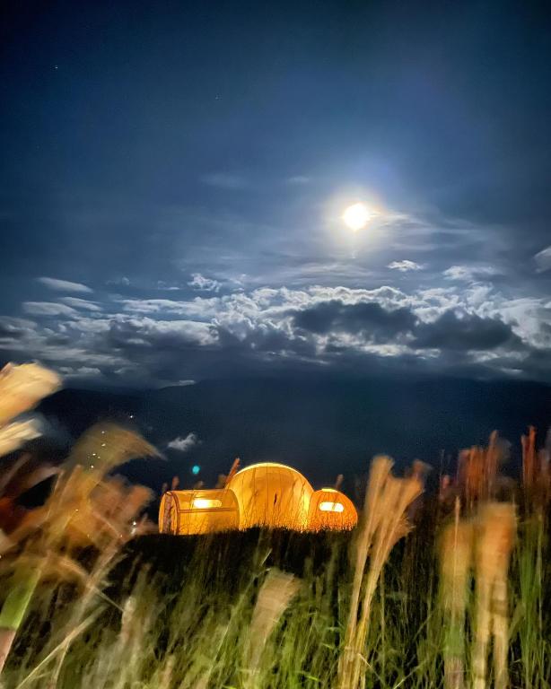 Příroda nedaleko luxury tent