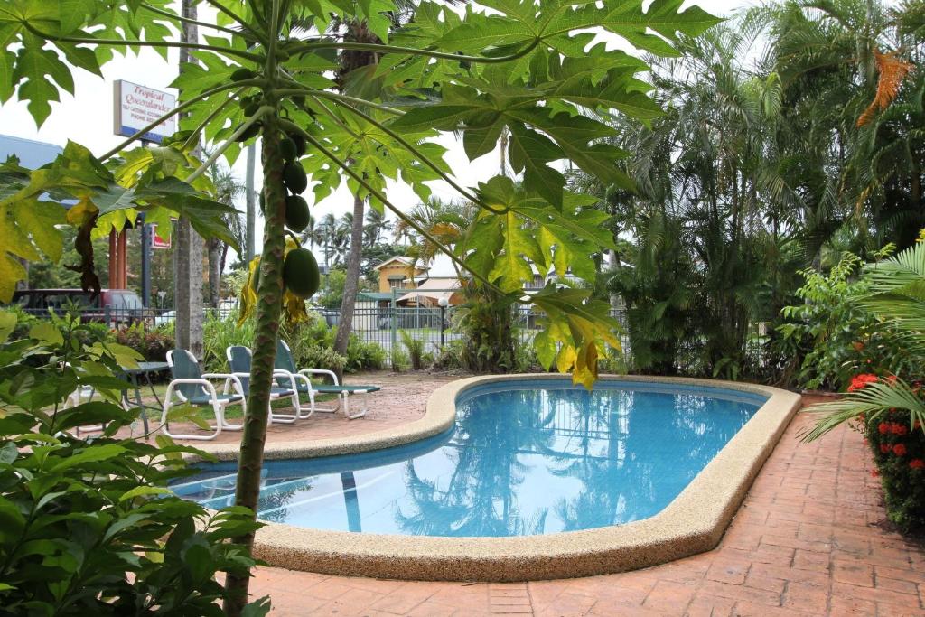 Bazén v ubytování Tropical Queenslander nebo v jeho okolí