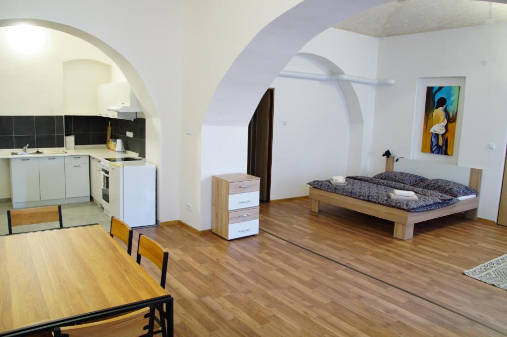 Kuchyň nebo kuchyňský kout v ubytování Apartment Porta