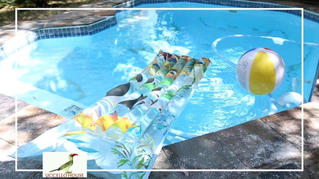 ein Schwimmbad mit einem Ball im Wasser in der Unterkunft Uccellohouse in Marloth Park