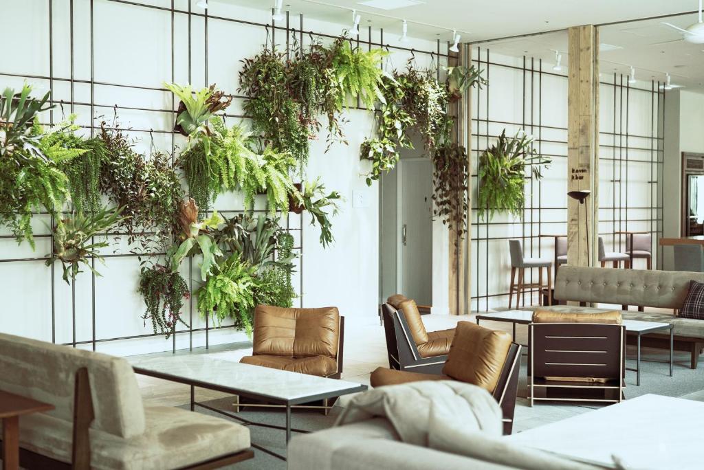 um quarto com vasos de plantas na parede em Hotel It Osaka Shinmachi em Osaka