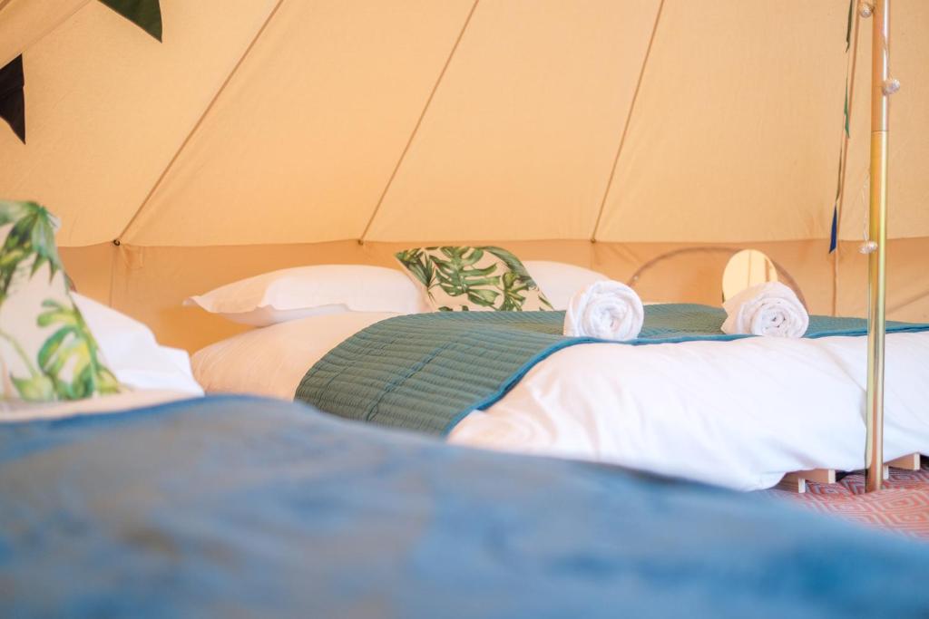 Glamping at Hay Festival - Carpa