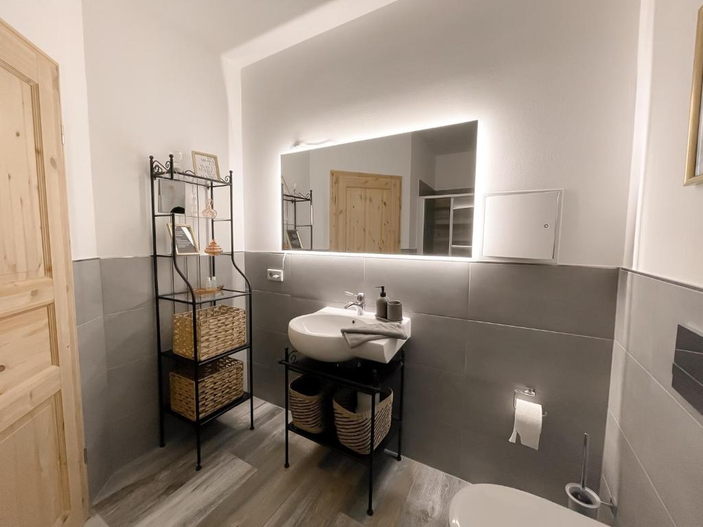 La salle de bains est pourvue d'un lavabo et d'un miroir. dans l'établissement New Deluxe Studio Apartment in quiet back house, à Dresde
