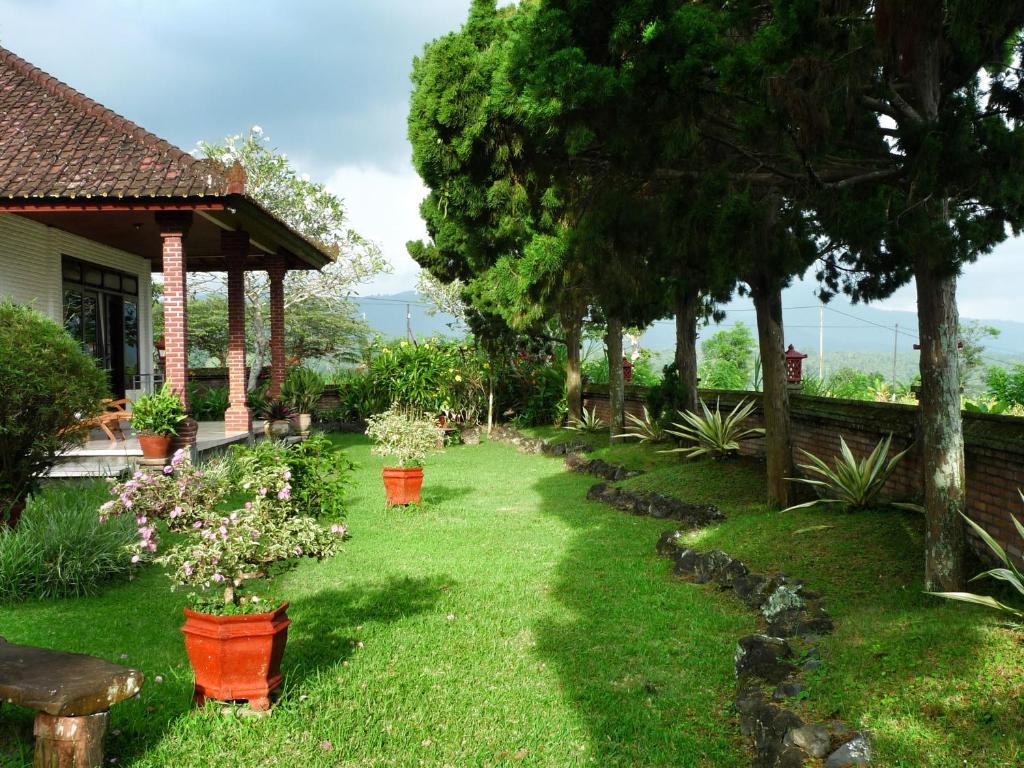 a yard with potted plants and a house at Cabé Bali in Jasri