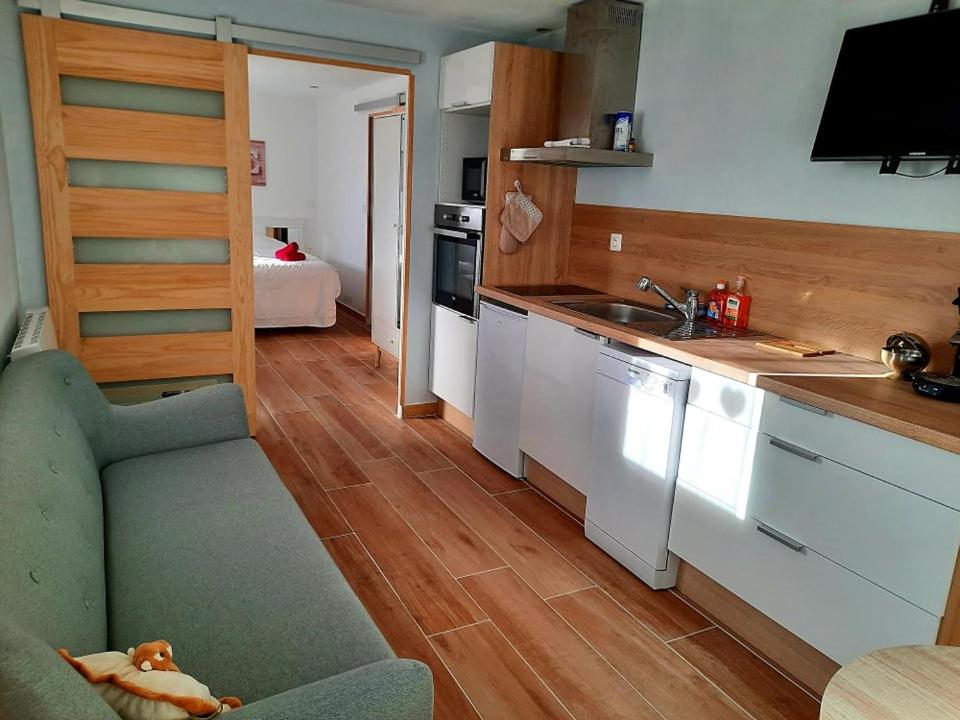 una cucina con divano e lavandino in camera di Votre studio balnéo bien-être à la montagne a Thollon