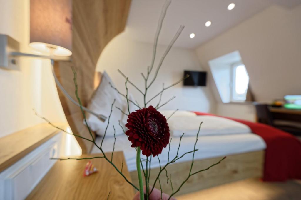 Hotel zur Malzmühle - Resim 40