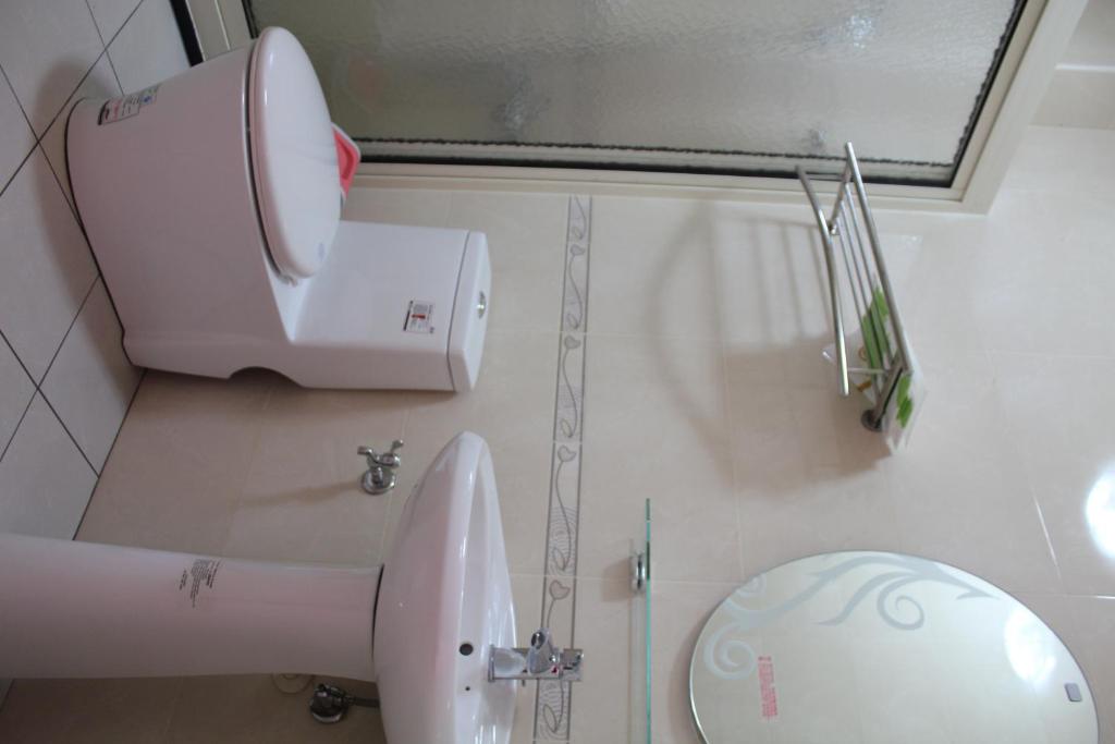 a bathroom with a white toilet and a sink at Xinyue B&amp;B in Fenglin