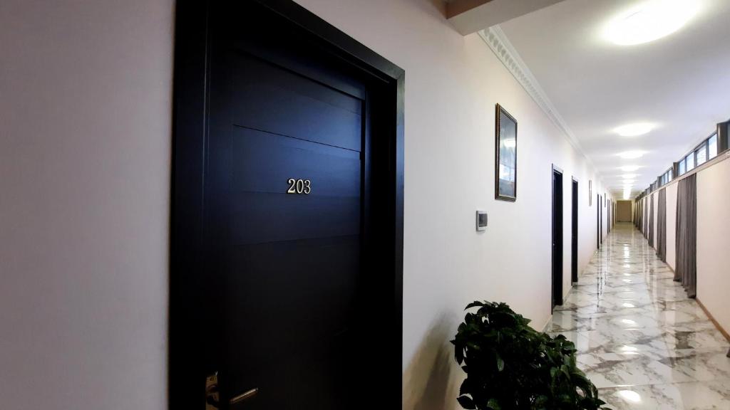 Fotografie z fotogalerie ubytování HOTEL KOSHKI v destinaci Zugdidi