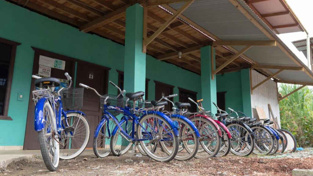 een rij fietsen geparkeerd voor een gebouw bij Valerie Emanuel Apartments in Bocas del Toro
