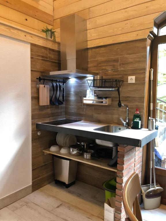 Kuchyňa alebo kuchynka v ubytovaní La cabana - Els Apartaments del bosc