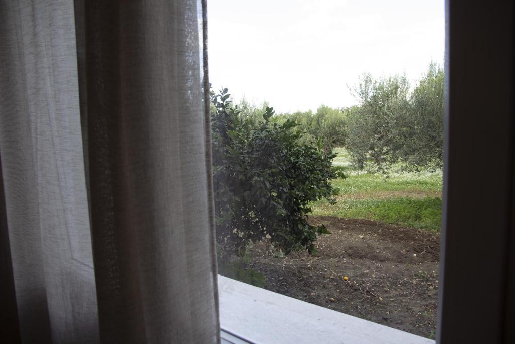 Zahrada ubytování Casa Raineri