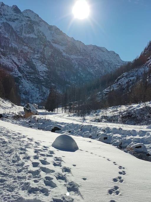 Zdjęcie z galerii obiektu Trilocale partenza seggiovia Jolanda Trinité - CIR n 0009 w mieście Gressoney-la-Trinité