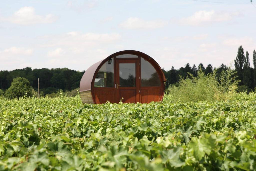 Gallery image of les hébergements D'Osmose in Cheverny