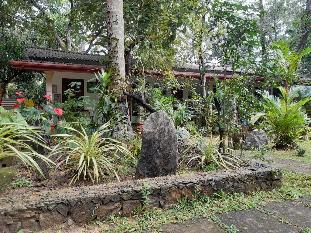 Zahrada ubytování Sigiri Jungle Villa