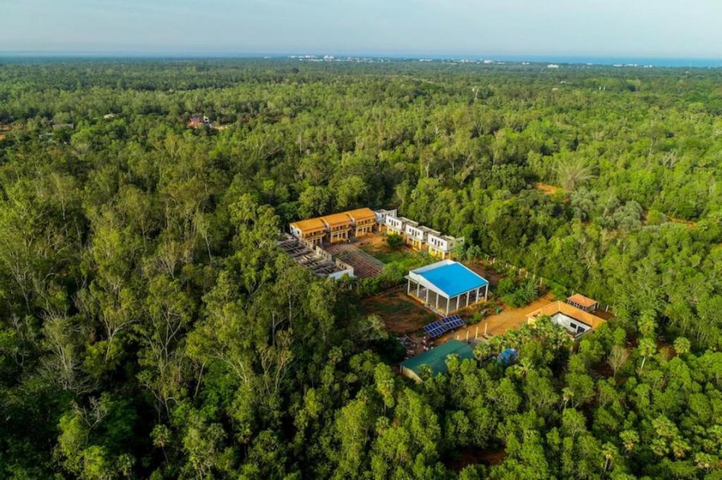 una vista aerea di una casa nel bosco di Paradisestay Auro Jungle Resort a Pondicherry