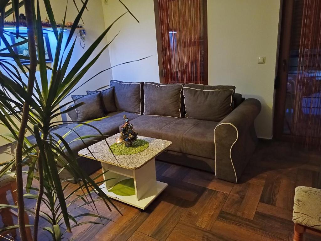 ein Wohnzimmer mit einem Sofa und einem Tisch in der Unterkunft Smiley Apartman in Vrnjačka Banja