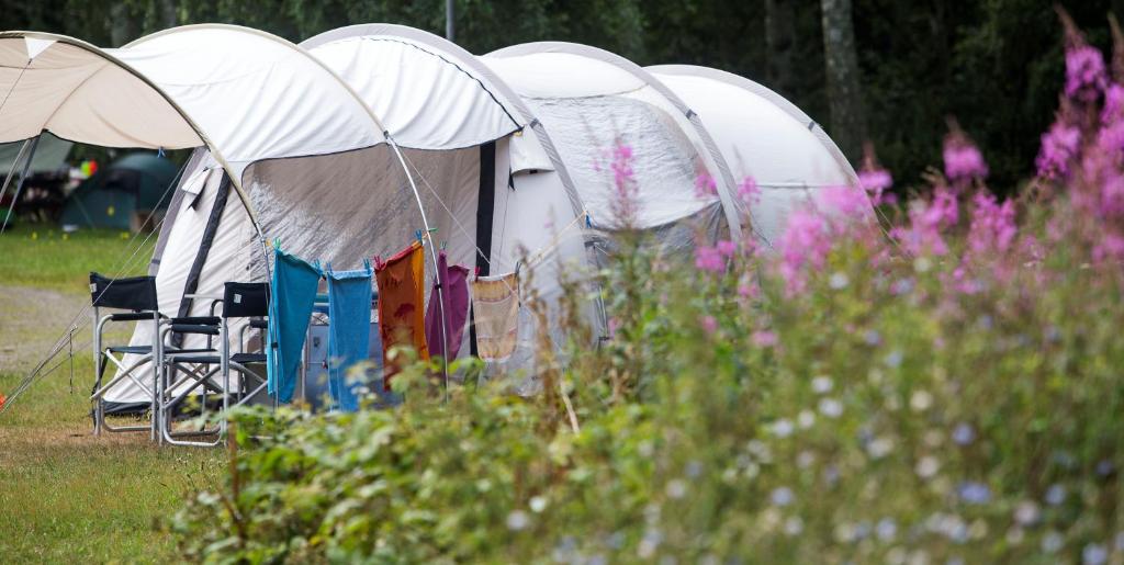 Zahrada ubytování Hasle Camping (Empty Lots)