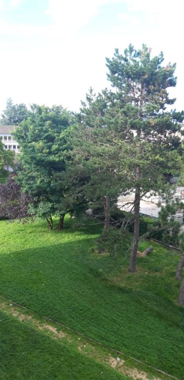JIYARA F3 PROCHE CENTRE Ville - Housity