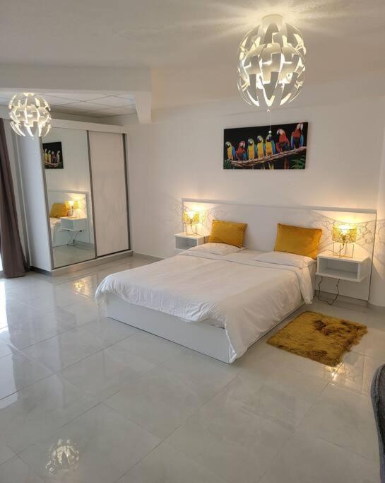 Hello Guyane (4), Suite Junior Luxury, 5 étoiles - Housity