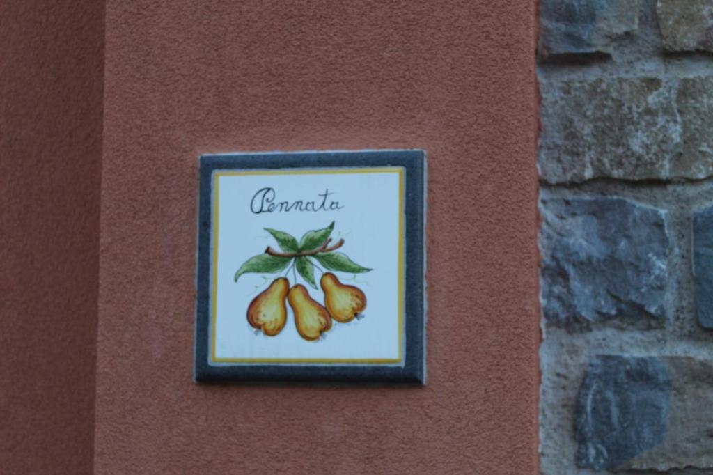 The Chalet, guest house - 5