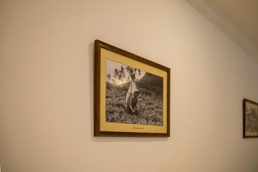 Fotografie z fotogalerie ubytování Hotel Ganthera Kandy v destinaci Kandy