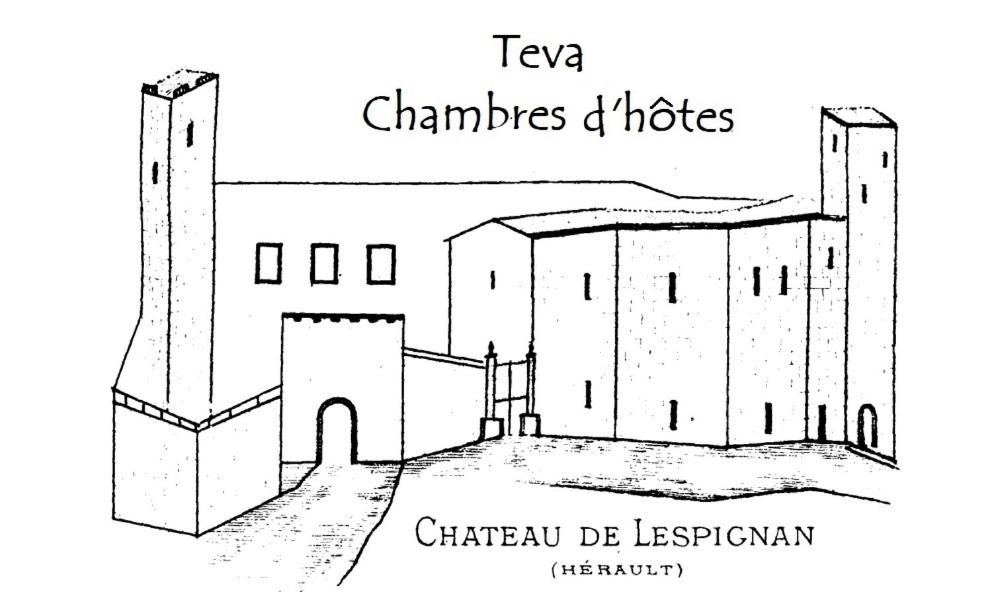 dessin noir et blanc d'un bâtiment dans l'établissement Teva, à Lespignan