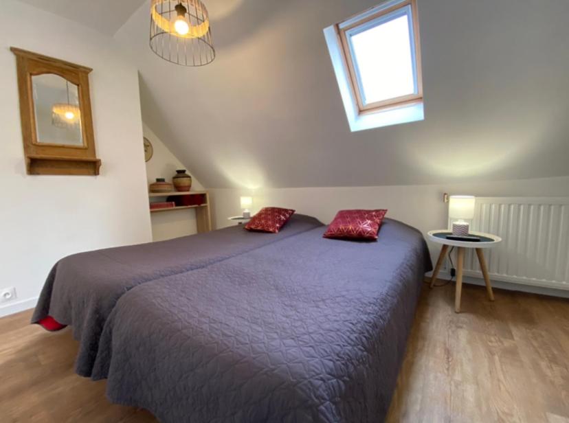 L'Ours de Colmar - Appartements en centre ville – photo 54