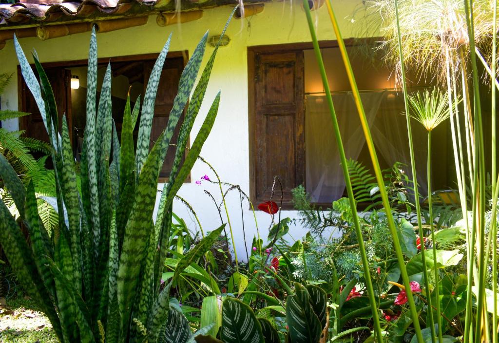 Zahrada ubytování Casa El Cedro