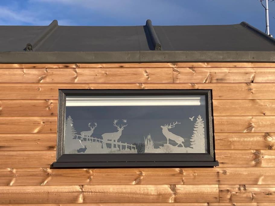Foto dalla galleria di The Ashmere Tiny House a Coldingham