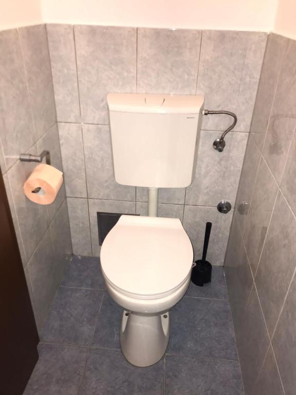 Koupelna v ubytování Apartment Bucka