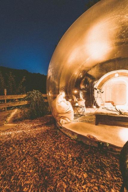 Fotografie z fotogalerie ubytování living TIMELESS- Bubble Tent Elzach- Schlafen unterm Sternenhimmel v destinaci Elzach