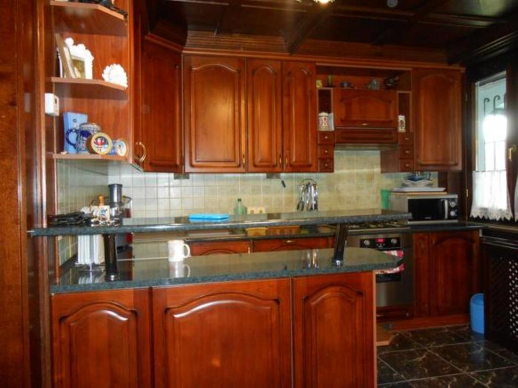 Kuchyňa alebo kuchynka v ubytovaní schönes Ferienhaus mit grossen Pool 250 m vom Balaton