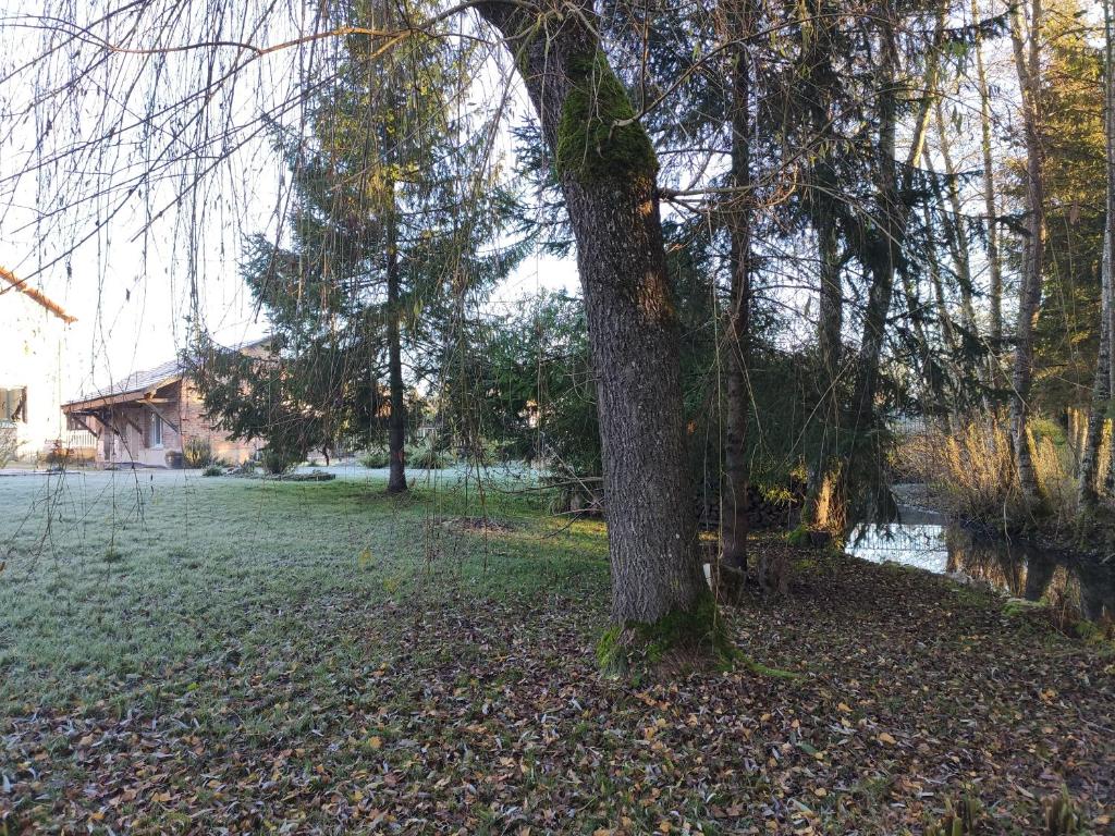 A garden outside Gîte des Viviers -08400 Manre - de 1 à 2 personnes