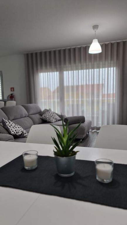ein Wohnzimmer mit einem Sofa und einem Tisch mit einer Pflanze in der Unterkunft Consolação Beach Apartment in Peniche