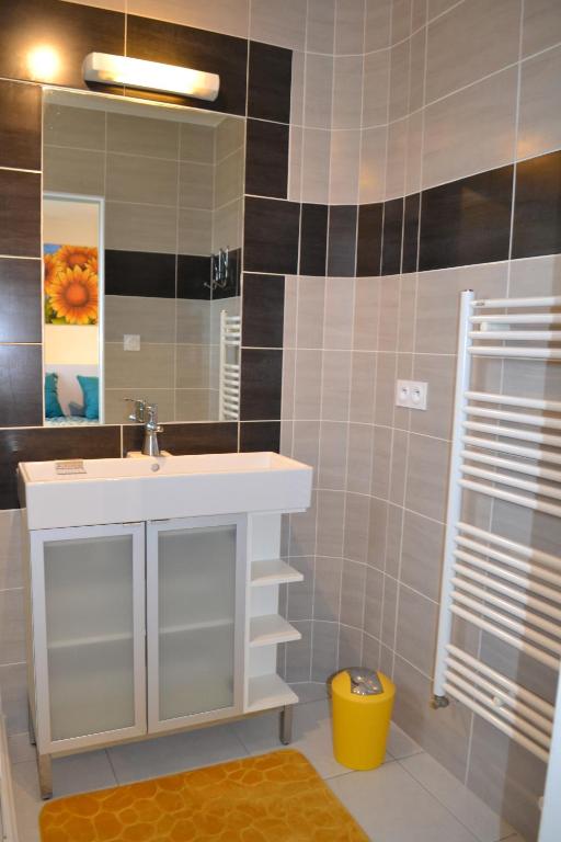 La salle de bains est pourvue d'un lavabo et d'un miroir. dans l'établissement L'oustal des Fontanilles, à Castelnaudary