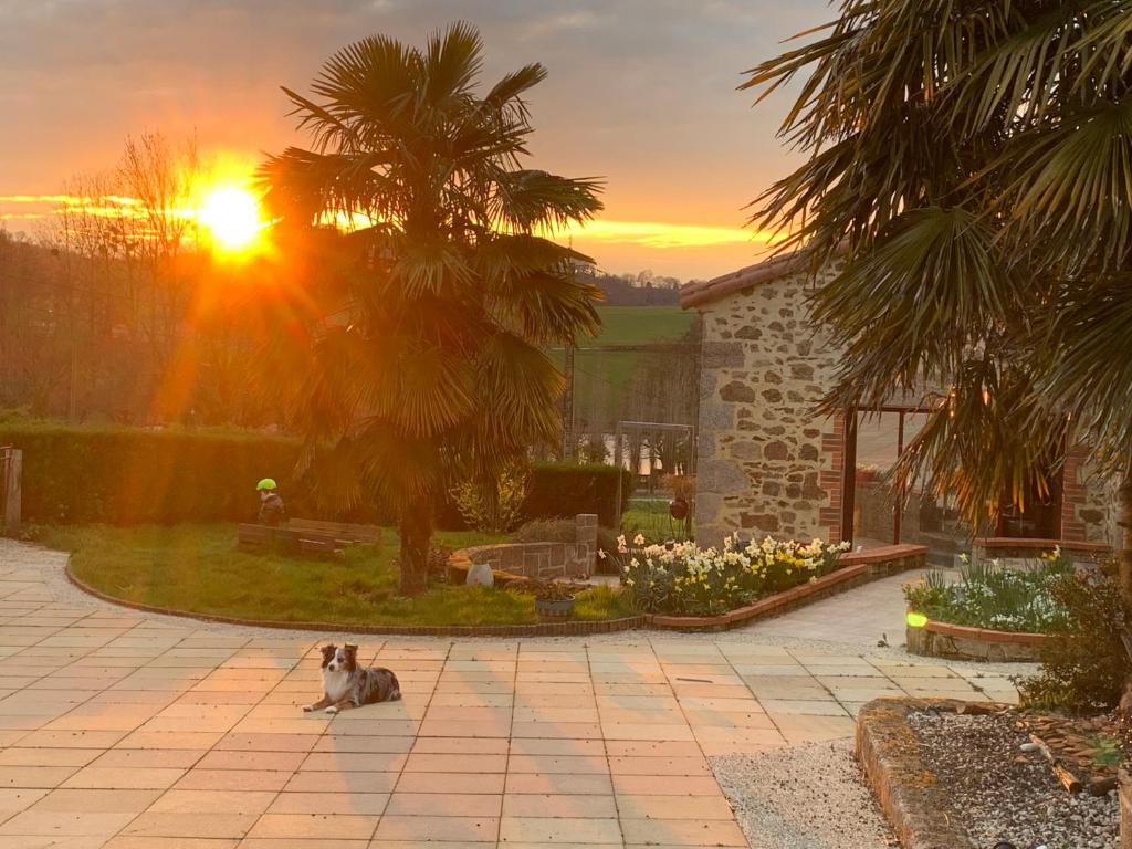 Φυσικό τοπίο κοντά σε αυτό το bed & breakfast