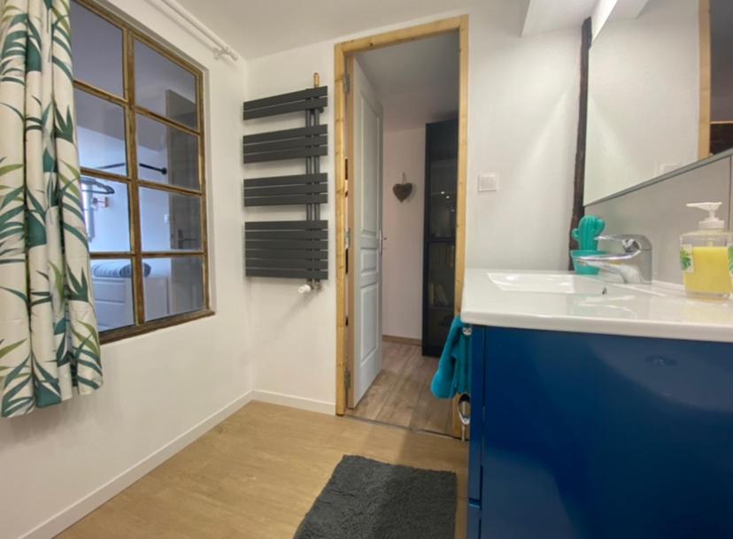 L'Ours de Colmar - Appartements en centre ville – photo 3