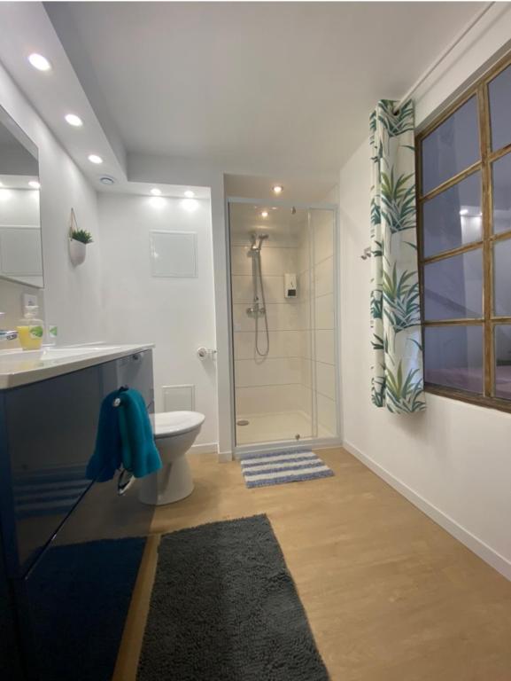 L'Ours de Colmar - Appartements en centre ville – photo 60