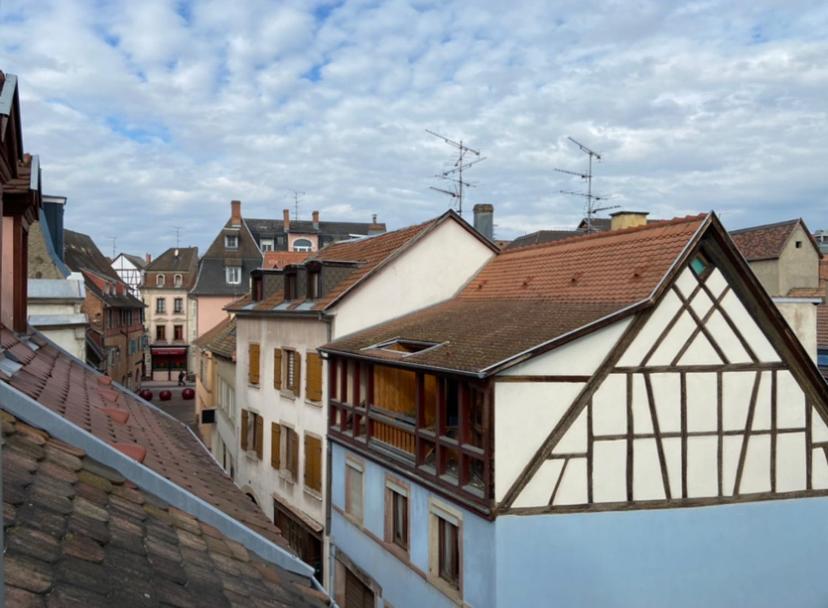 L'Ours de Colmar - Appartements en centre ville – photo 6