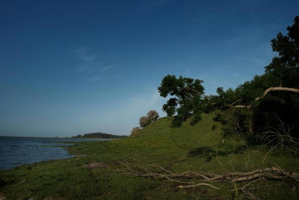 a grassy hill next to a body of water at Fadeburet på Skibstedgaard in Tvolm