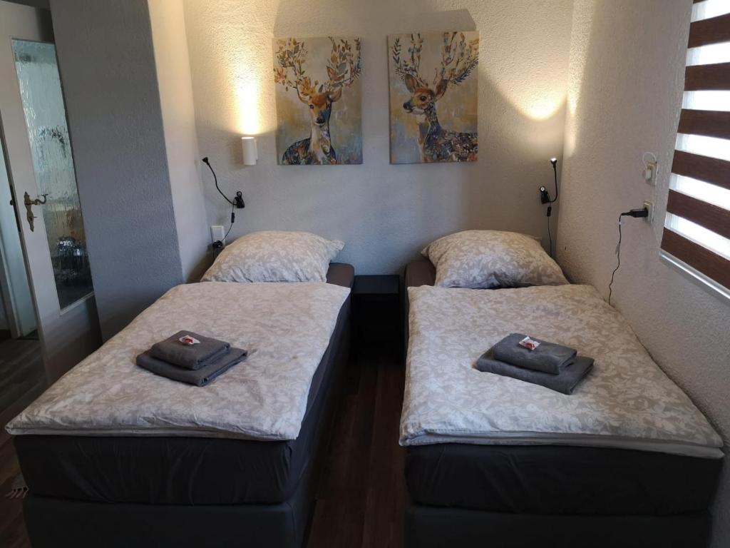 2 Betten in einem Zimmer mit Handtüchern darauf in der Unterkunft SaidenbachHaus in Großhartmannsdorf