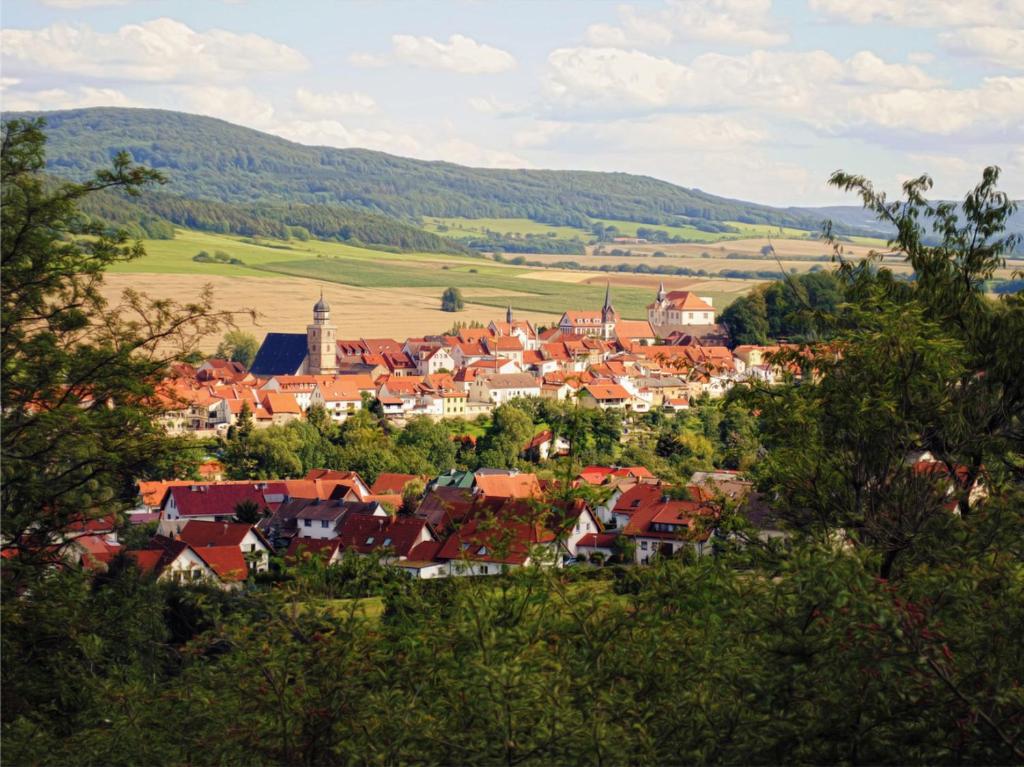 a small town with red roofs in a valley at Schloss Geisa in Geisa