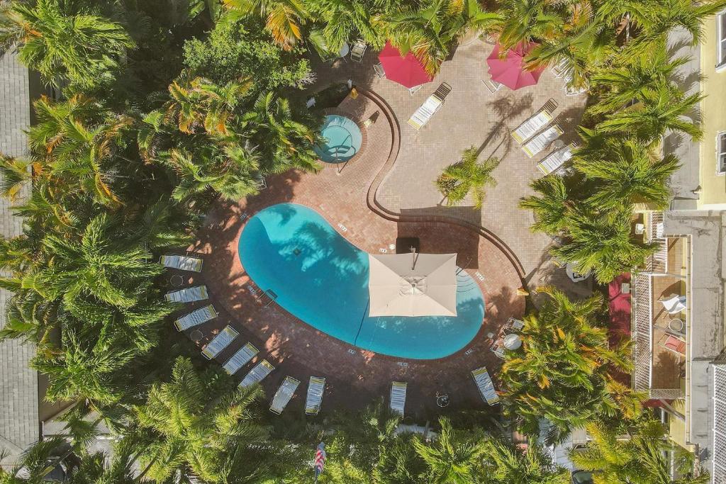 an overhead view of a swimming pool with palm trees at The Worthington Resorts - Clothing Optional - Men Only - Solo hombres in Fort Lauderdale