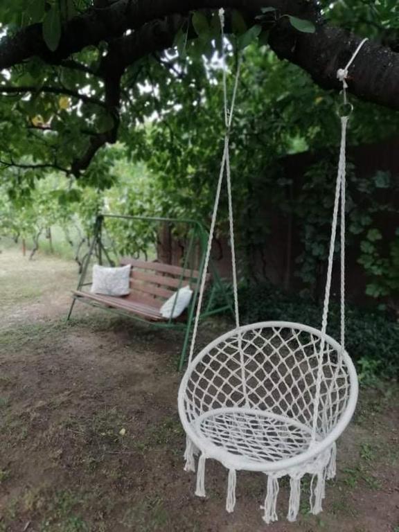 Vonkajšia záhrada v ubytovaní Erdőalján Házikó