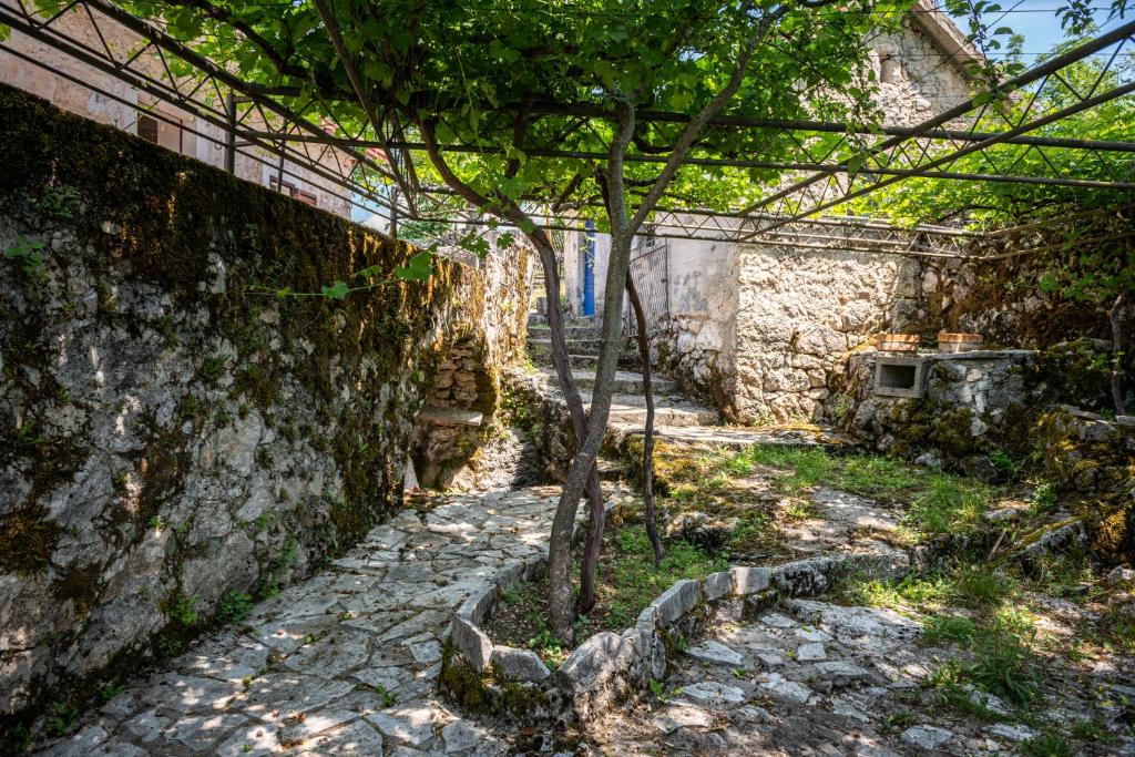 Zahrada ubytování Guest house Gornji Ceklin